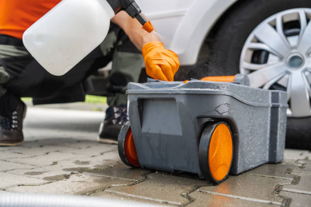 Best Tree Preservation Services  in Latham, NY